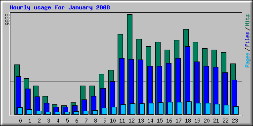 Hourly usage for January 2008